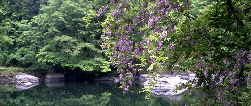 月不見の池