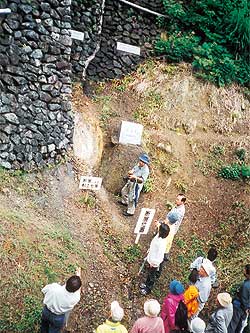 学芸員によるパーク内の説明